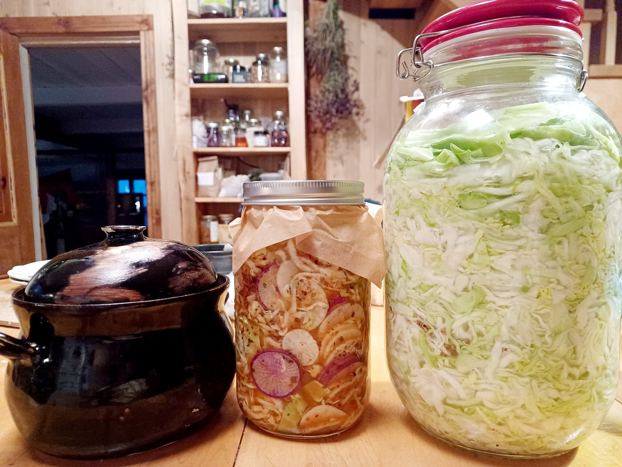 Lacto fermentation avec Générations autonomes
