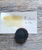 Aquarelle végétale - Rudbeckia hirta