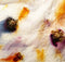 Atelier d'impression botanique : porter sur soi l'empreinte des fleurs