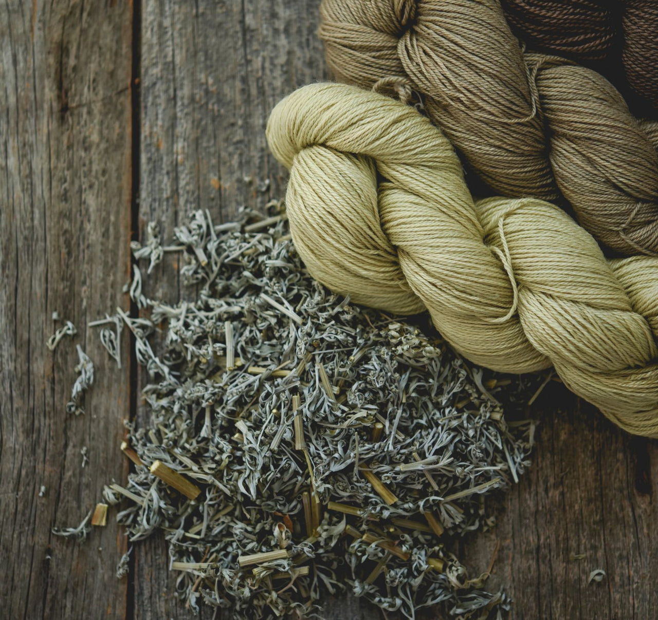 ARMOISE- Artemisia vulgaris - 100g