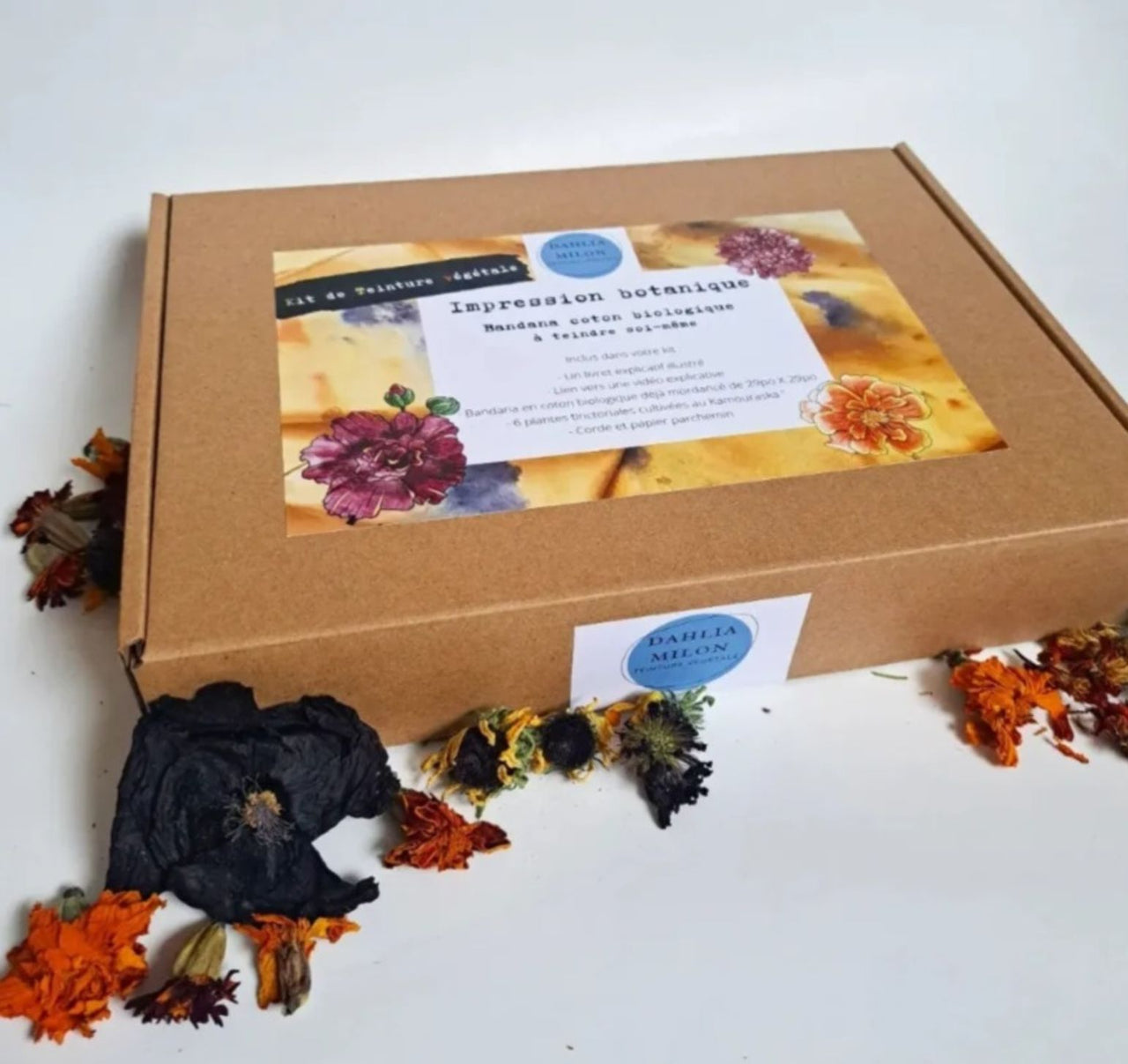 Kit d'impression botanique - bandana biologique