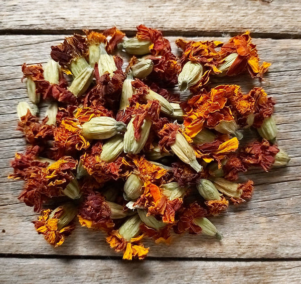 Œillets d'inde - fleurs séchées - Tagetes patula