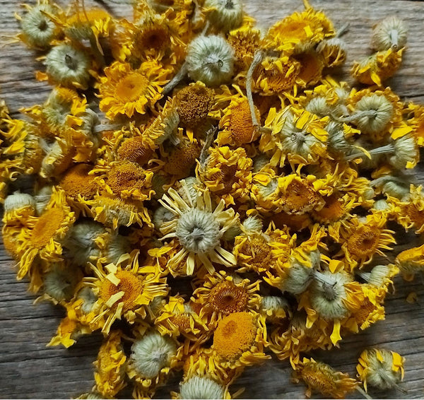 Camomille des teinturiers - fleurs séchées - Anthémis tinctoria