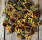 Rudbeckia - fleures séchées - Rudbeckia hirta