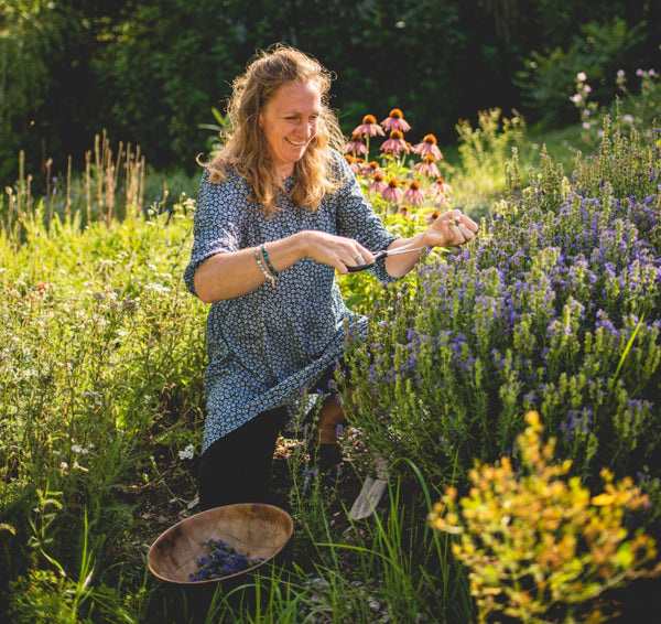 Herboristerie : S’accompagner avec les plantes - 16 juillet