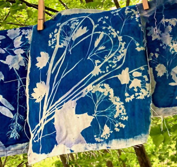 Atelier cyanotype - 12 juillet