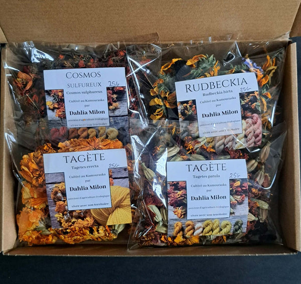 Coffret Les Récoltes