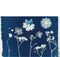 Atelier cyanotype - 12 juillet