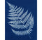 Atelier cyanotype - 12 juillet