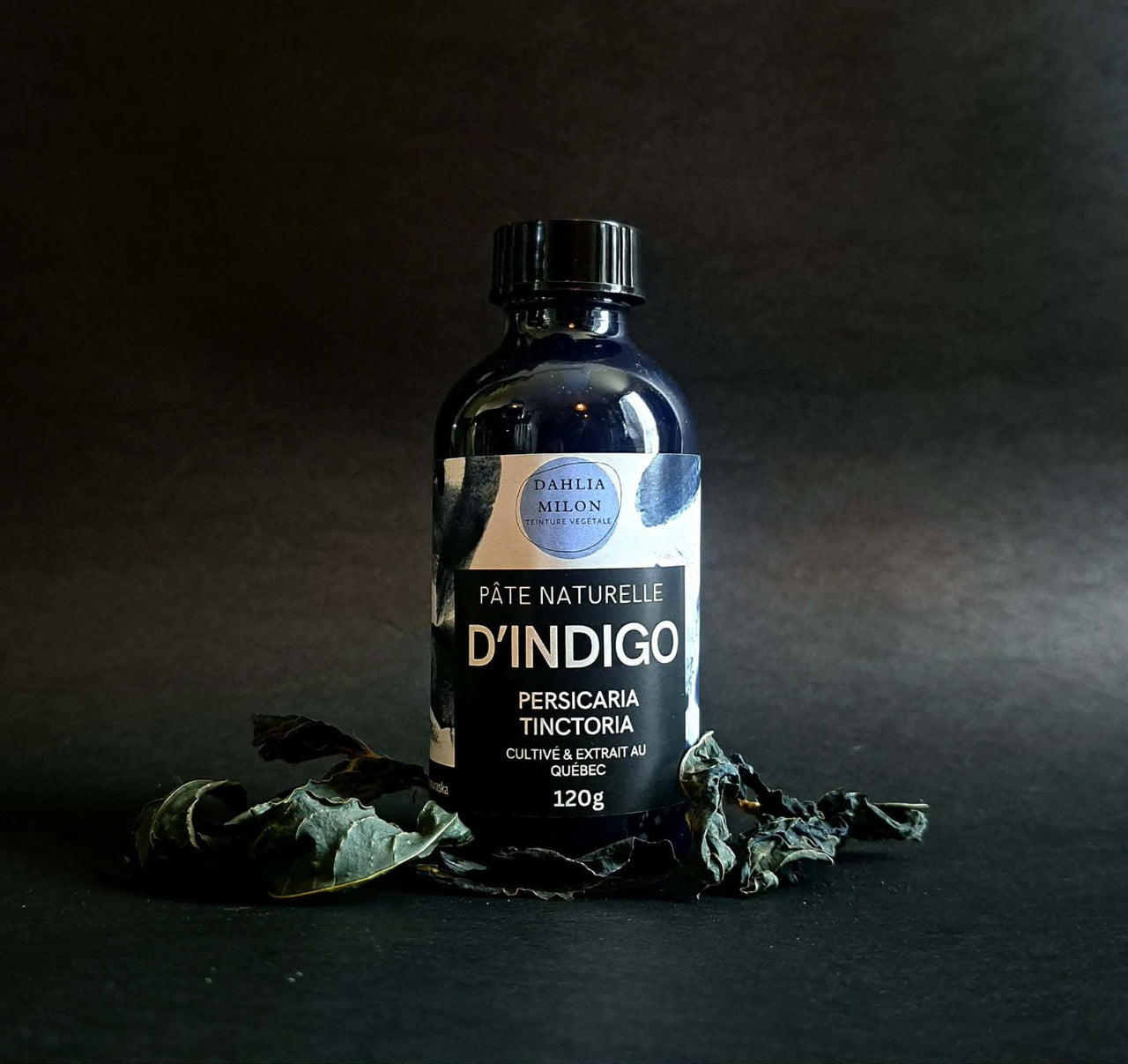 Pâte d'indigo - 120g - Persicaria tinctoria