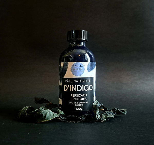 Pâte d'indigo - 120g - Persicaria tinctoria
