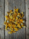 Camomille des teinturiers - fleurs séchées - Anthémis tinctoria